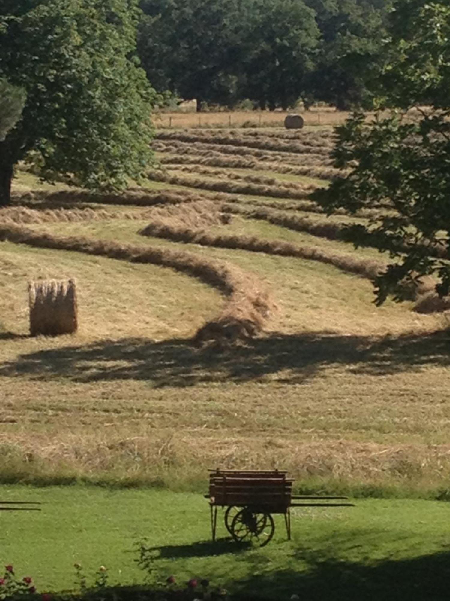 Domaine Du Buc, Le Chateau Marssac-sur-Tarn Luaran gambar